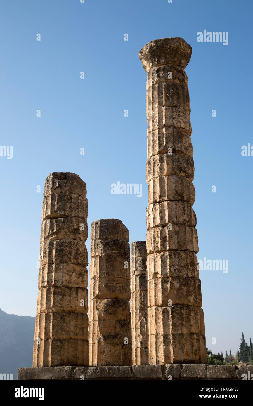 Spalten in den Tempel des Apollo in das 4. Jahrhundert v. Chr. Delphi Ruinen, Delphi, Griechenland, Peloponnes, Mittelgriechenland Stockfoto Spalten in den Tempel des Apollo in das 4. Jahrhundert v. Chr. Delphi Ruinen, Delphi, Griechenland, Peloponnes, Mittelgriechenland Stockfoto