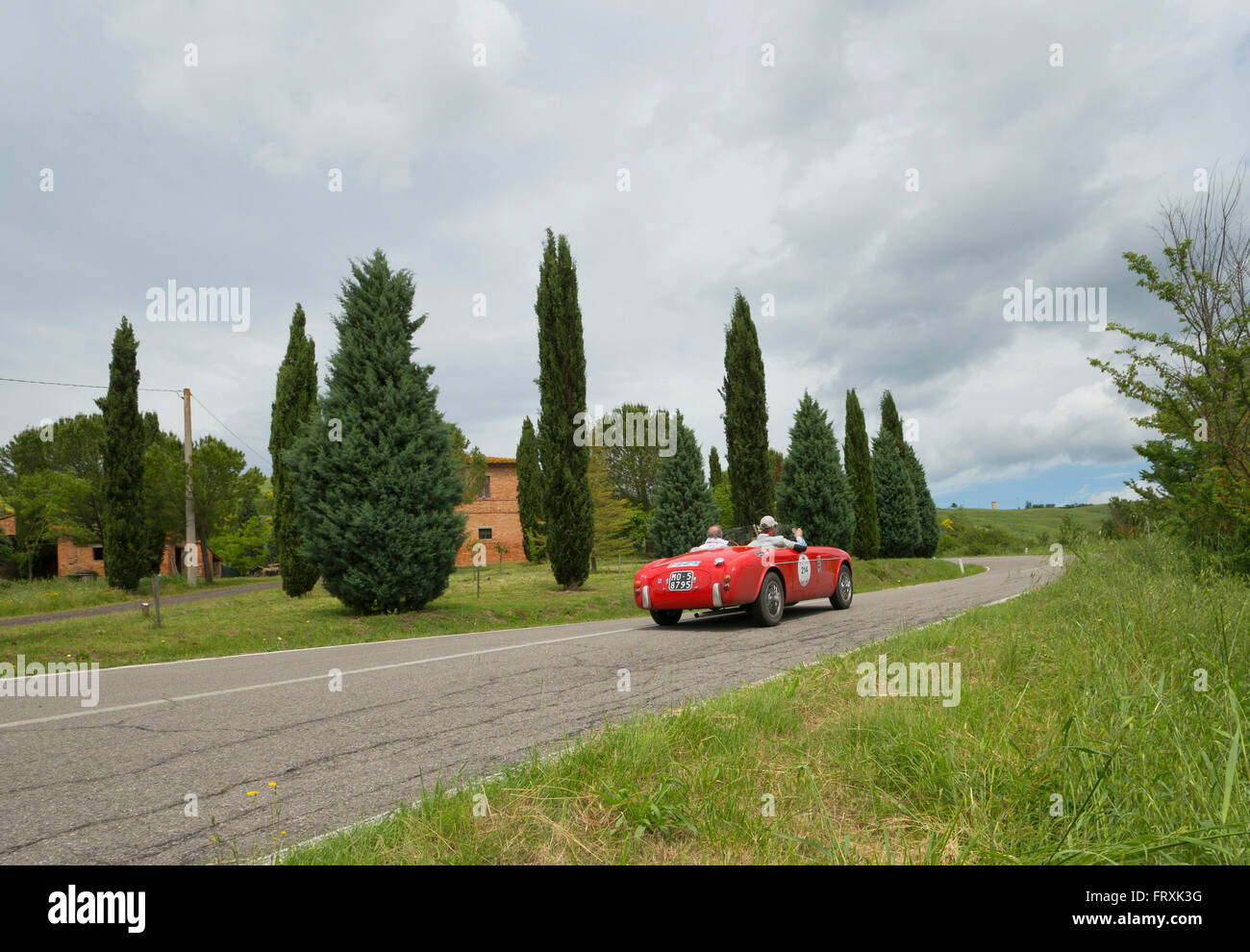 S.I.A.T.A., Daina Gran Sport Spider, 1952, Mille Miglia, 1000 Miglia, in der Nähe von San Quirico d ' Orcia, Toskana, Italien, Europa Stockfoto