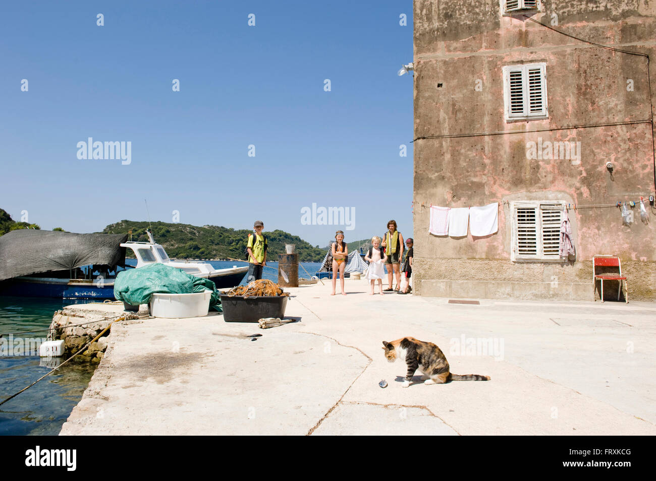 Katze im Hafen, Sipanska Luka Sipan, Elaphiten, Kroatien Stockfoto