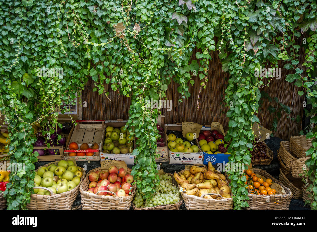 Obst-Stall, Finalborgo, Finale Ligure, Provinz von Savona, Ligurien, Italien Stockfoto