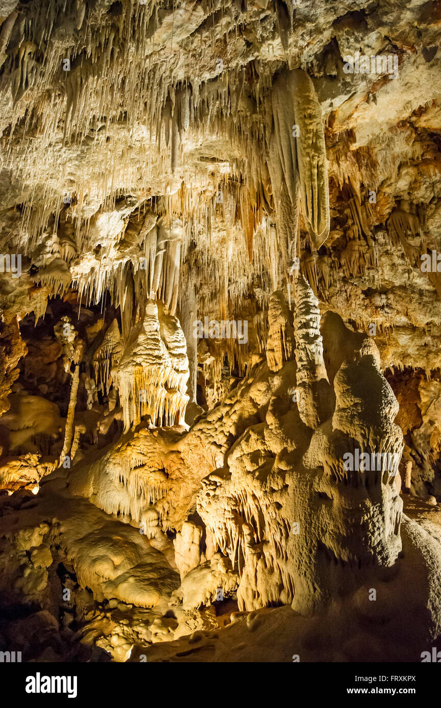 Tropfsteinhöhle, Borgio Verezzi, Provinz von Savona, Ligurien, Italien Stockfoto