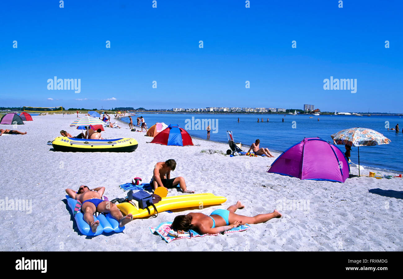 Strand am Wulfener Hals, Fehmarn Insel, Ostsee, Schleswig-Holstein, Deutschland, Europa Stockfoto