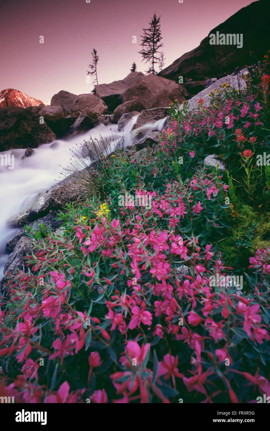 Bugaboo Provincial Park, Britisch-Kolumbien, Kanada Stockfoto