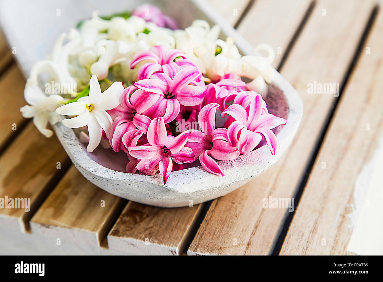 Spa-Einstellung mit weißen und rosa Hyazinthe Blüten Stockfoto