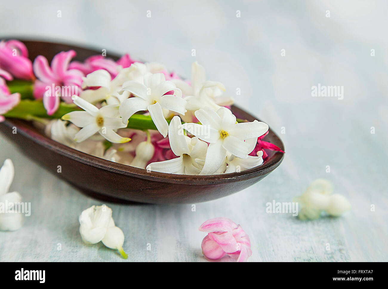 Spa-Einstellung mit weißen und rosa Hyazinthe Blüten Stockfoto