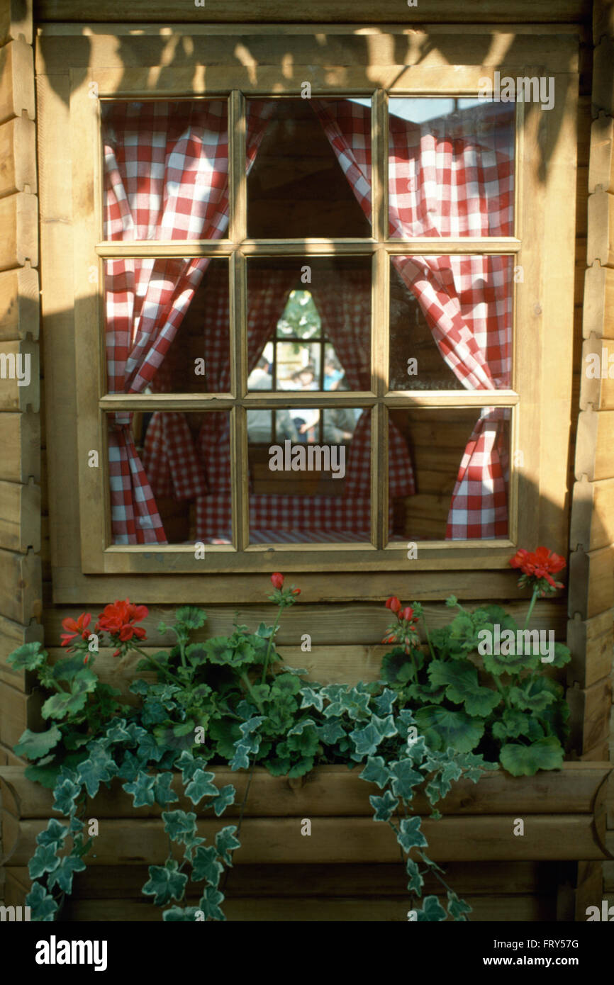 Close-up-Fenster mit roten Geranien und nachgestellte Efeu in hölzernen Blumenkasten Stockfoto