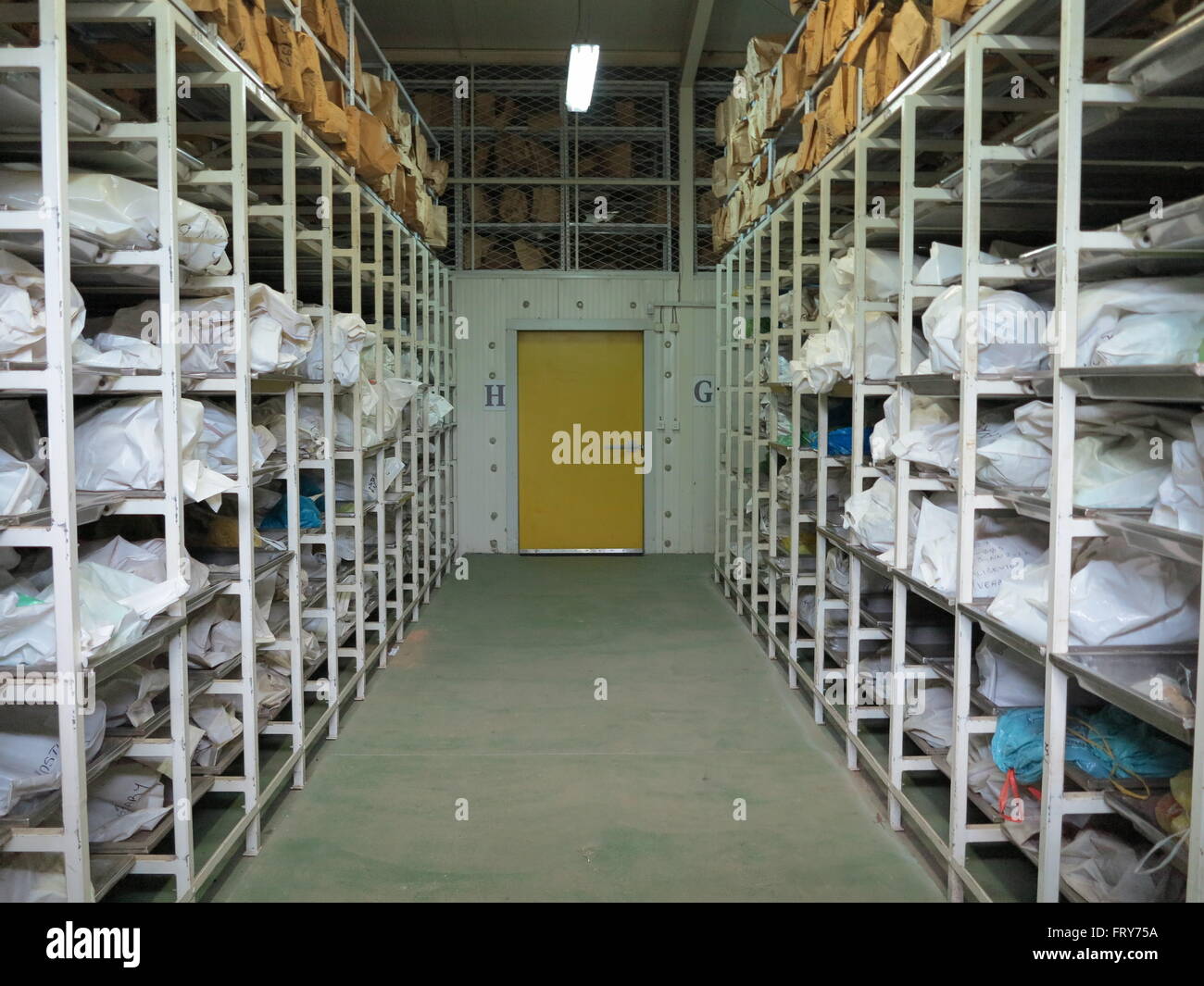 Hunderte von Plastiktüten mit Körperteilen von Opfern des Massakers von Srebrenica 1995 Lagern in einem Kühlraum des Zentrums Identifikation in Tuzla, Bosnien und Herzegowina, 16. Juni 2015. Die sterblichen Überreste der Opfer wurden exhumiert und werden durch abgestimmt auf DNA-Proben von Verwandten identifiziert werden. Foto: Thomas Brey/dpa Stockfoto