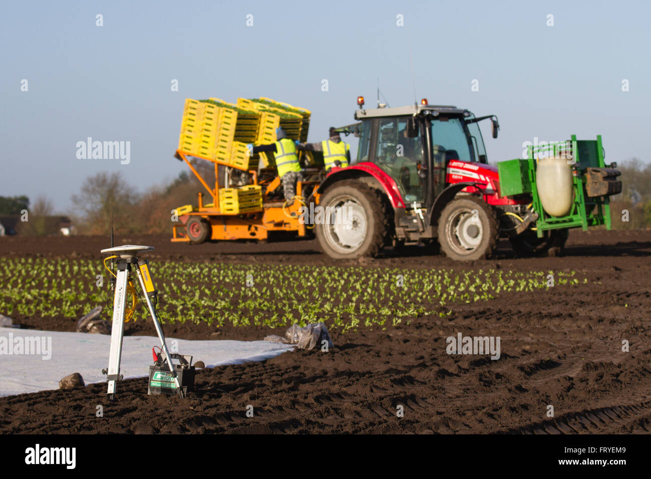 Externer GPS-Empfänger im Burscough, Lancashire, Großbritannien, 25. März 2016 verwendet. UK Wetter. Eine Landschaft, die in weißem Vlies abgedeckt, da die Landwirte Trimble GPS-Traktor-Leitsysteme Ausrüstung verwenden, um ihre Felder zu Handlung und Werk und salatpflänzlinge dieser Jahreszeiten'. Gartenbau Fleece ist ein dünnes, Ungewebte, Polypropylen Gewebe, das wie eine schwebende Mulch sowohl frühe und späte Ernte und andere empfindliche Pflanzen vor Kälte und Frost, sowie Insekten während der normalen Vegetationsperiode zu schützen, verwendet wird. Stockfoto