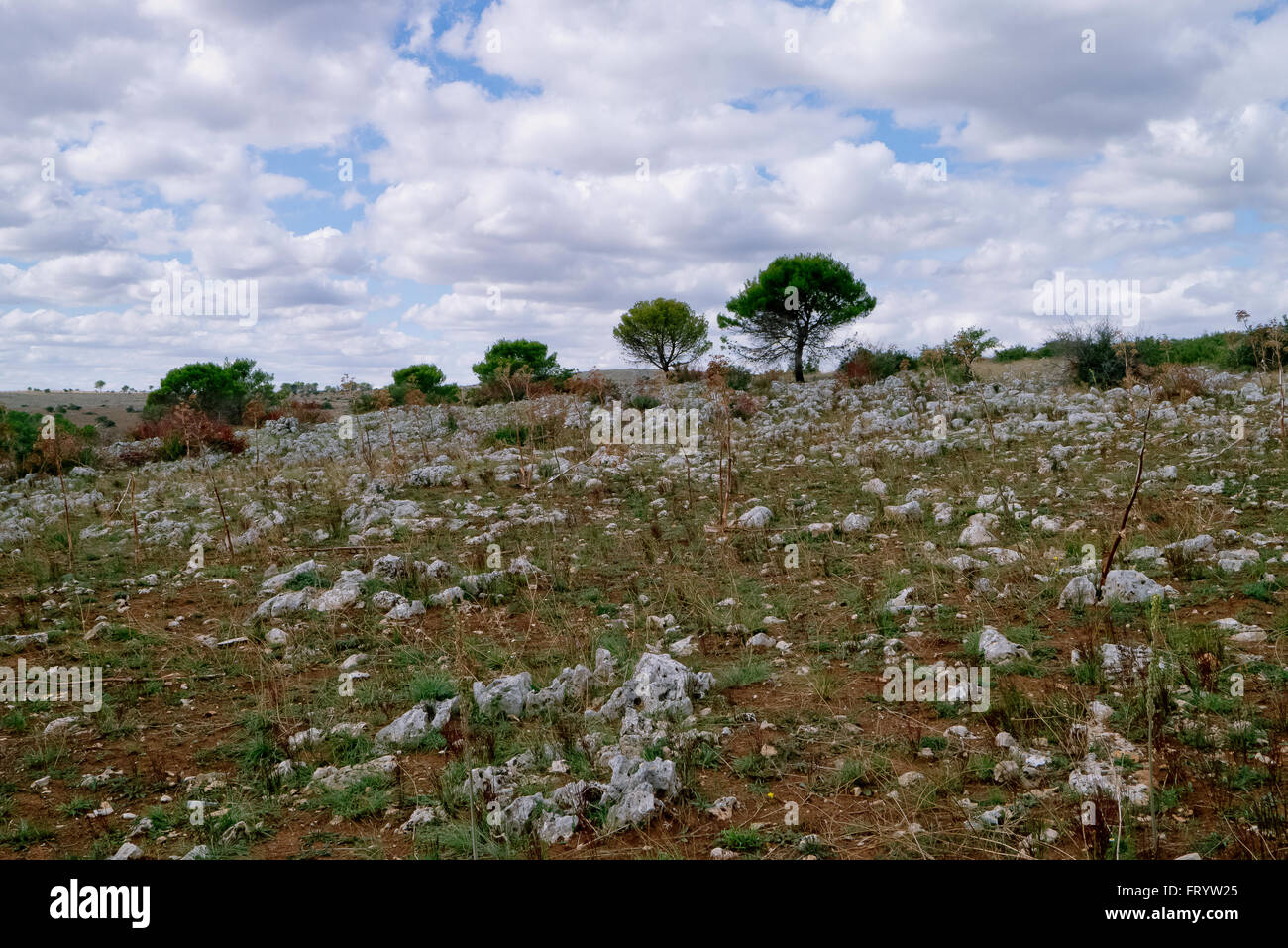 Ländliche Landschaft des südlichen Italien. Stockfoto