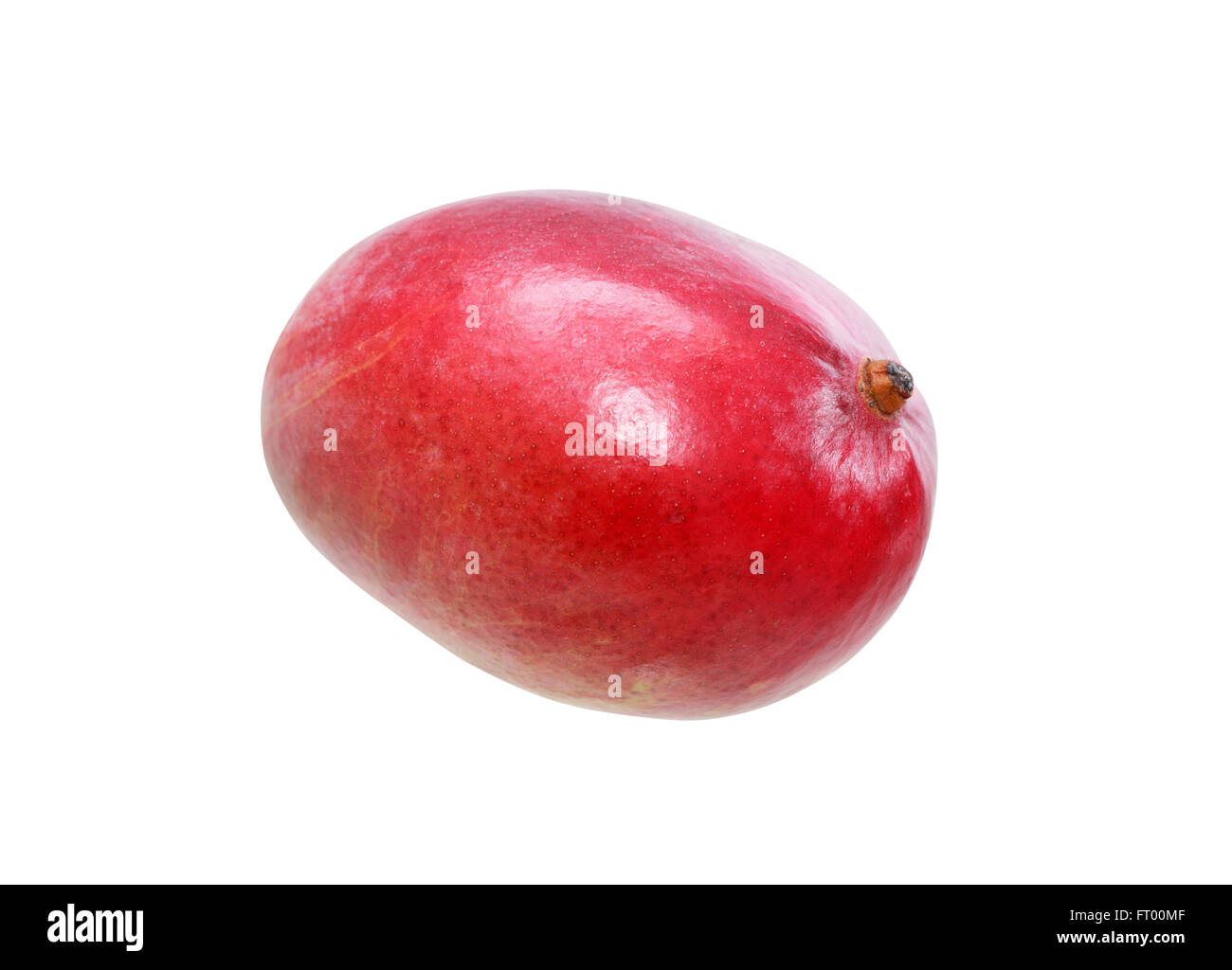 Eine Mango-Frucht auf weißem Hintergrund. Isoliert mit Beschneidungspfad Stockfoto