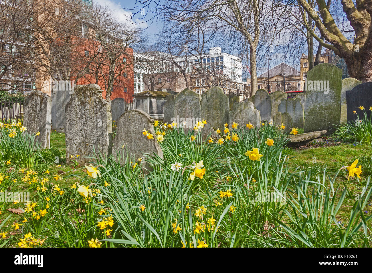 London, Islington Frühlingsblumen in Bunhill Fields Gräberfeld von der geschäftigen Stadt Straße Stockfoto