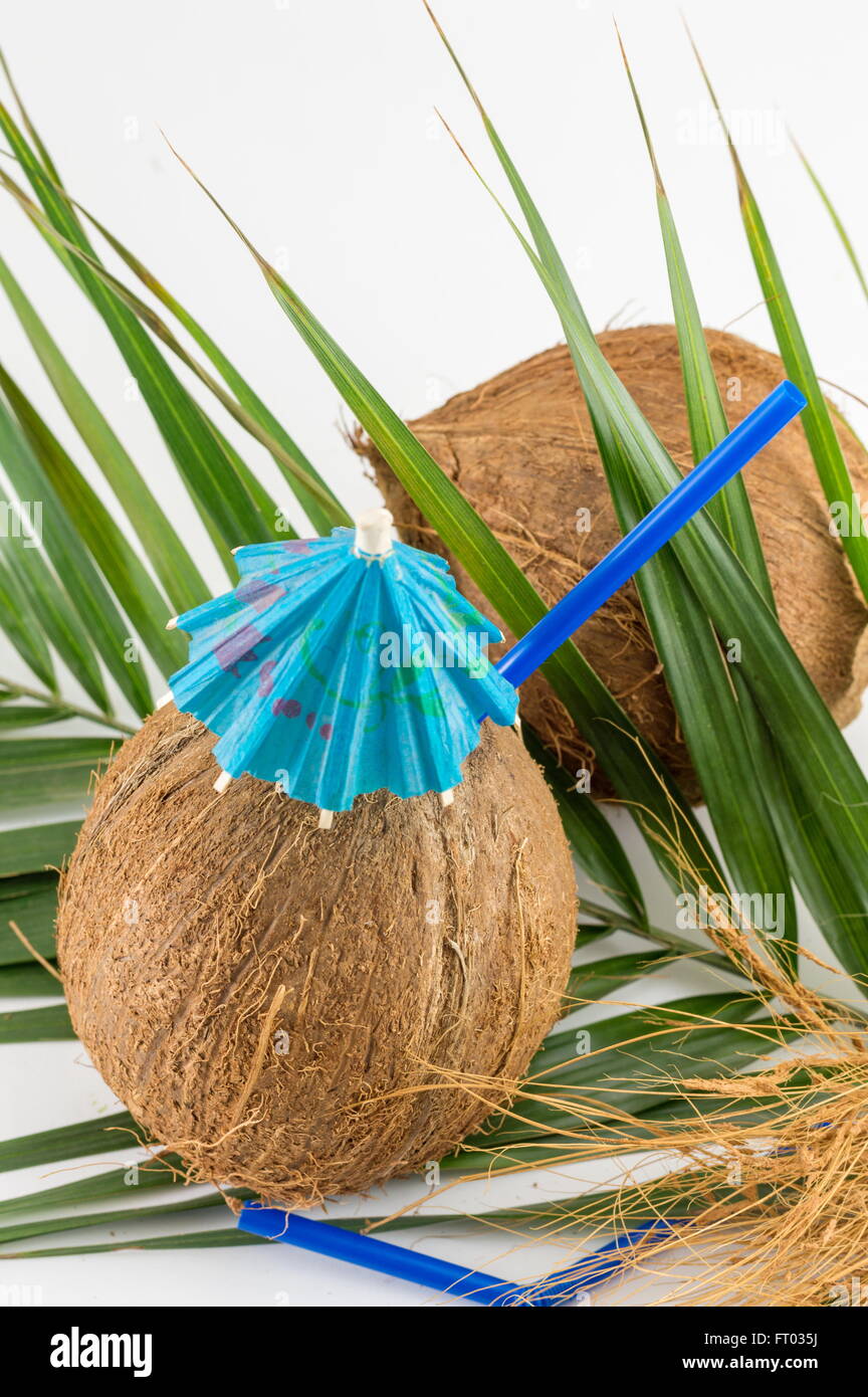 Frische Kokosnuss Cocktails mit Sonnenschirmen auf Kokosnussblättern platziert Stockfoto