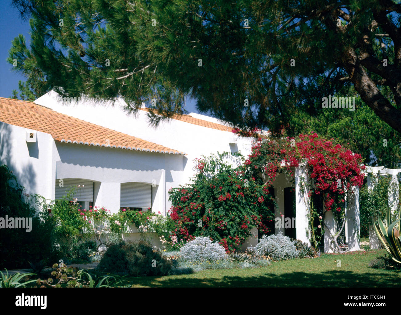 Von außen eine eine weiße spanische Villa mit roten Bougainvillea an der Wand Stockfoto