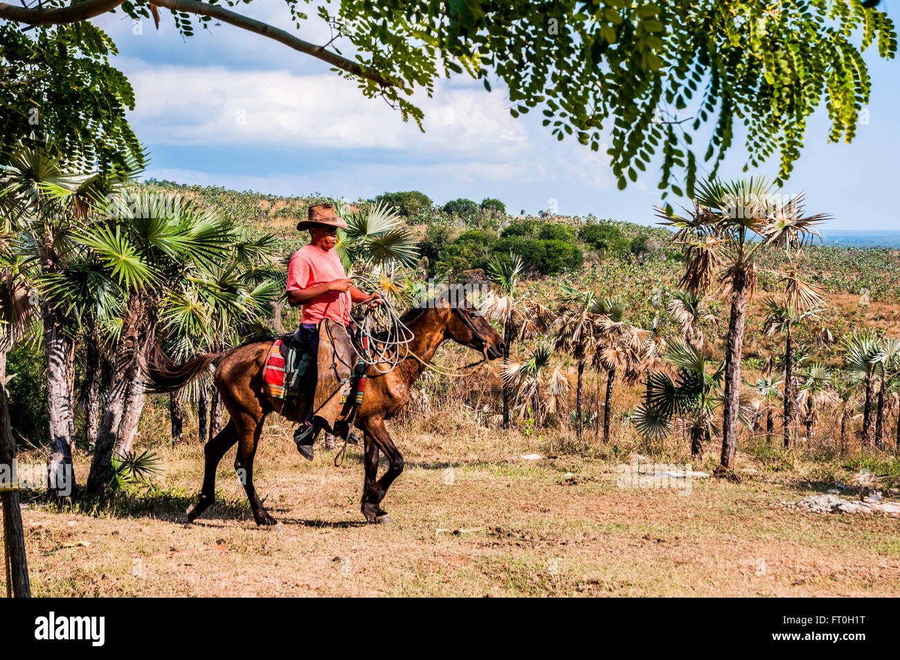 Tal de Los Ingenios oder Tal der Sugar Mills, Kuba Stockfoto