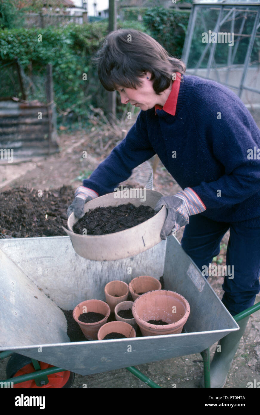 Frau Absiebung Kompost in Terrakotta-Töpfe in einer Schubkarre für nur zur redaktionellen Nutzung Stockfoto