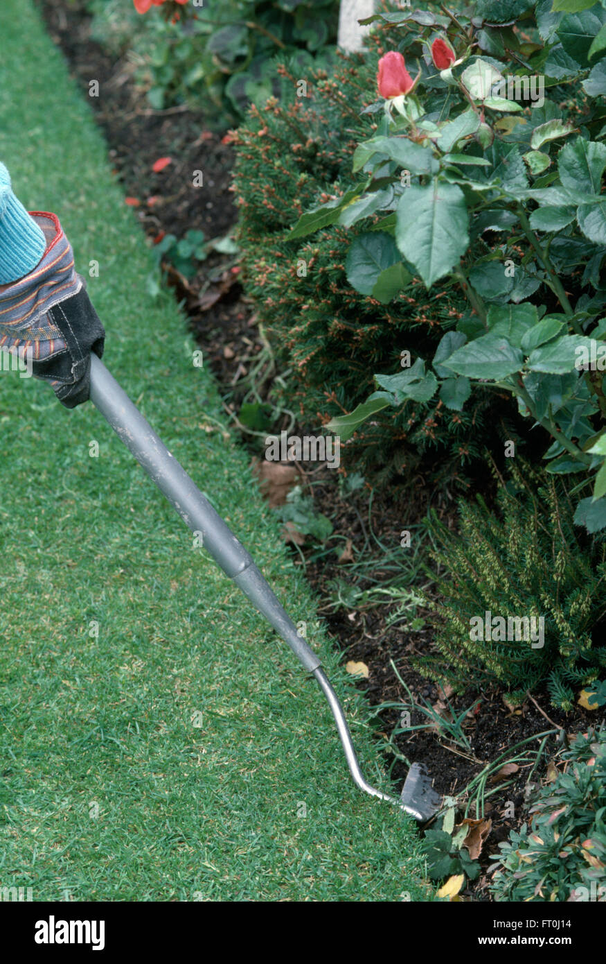 Nahaufnahme eines Gärtners hacken ein Blumenbeet Stockfoto