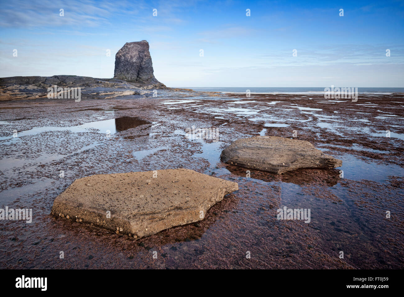 Schwarz Nab auf gegen Bay, North Yorkshire, England, UK Stockfoto