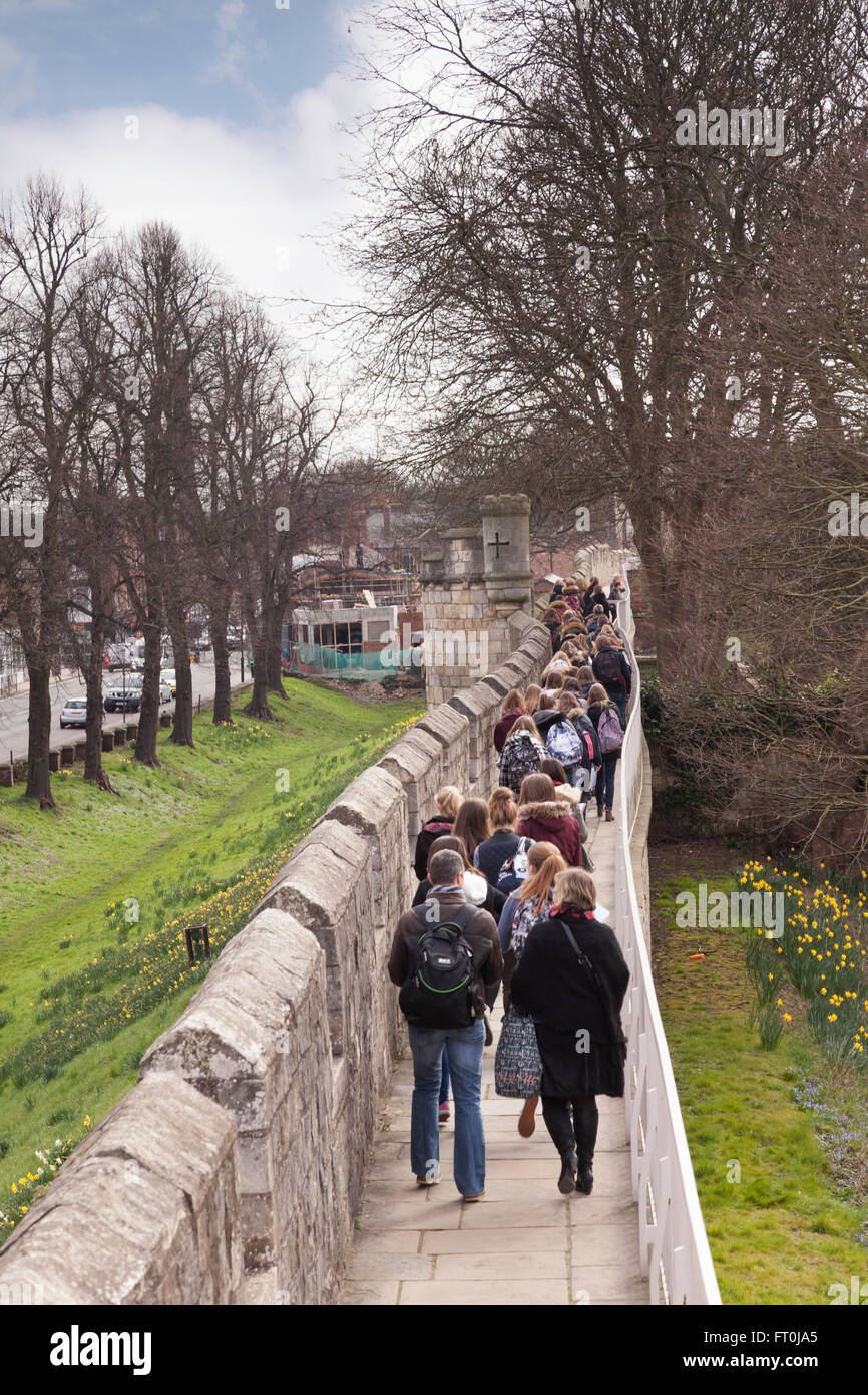 Schüler und Lehrer Fuß entlang der Stadtmauer von York, North Yorkshire, England, UK Stockfoto