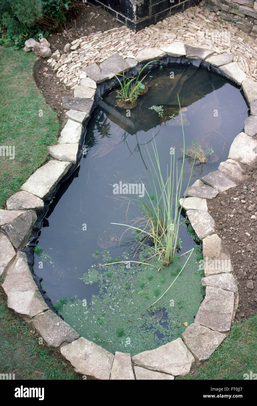 Vogelperspektive auf eine neu angelegte Teich eingefasst mit Stein Stockfoto