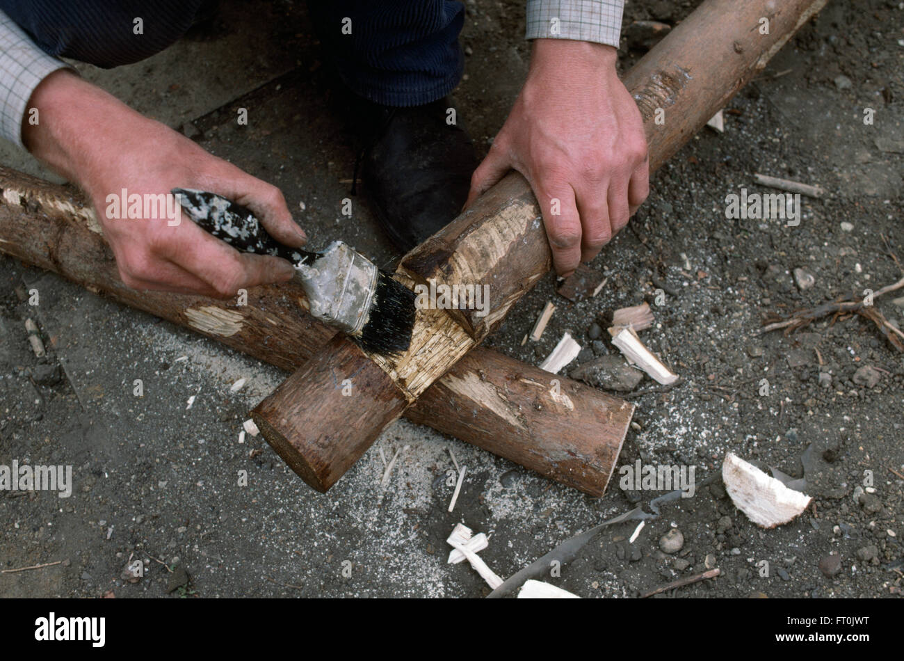 Nahaufnahme der Hände Holzpfosten für eine rustikale Pergola Kreosot zuweisen Stockfoto
