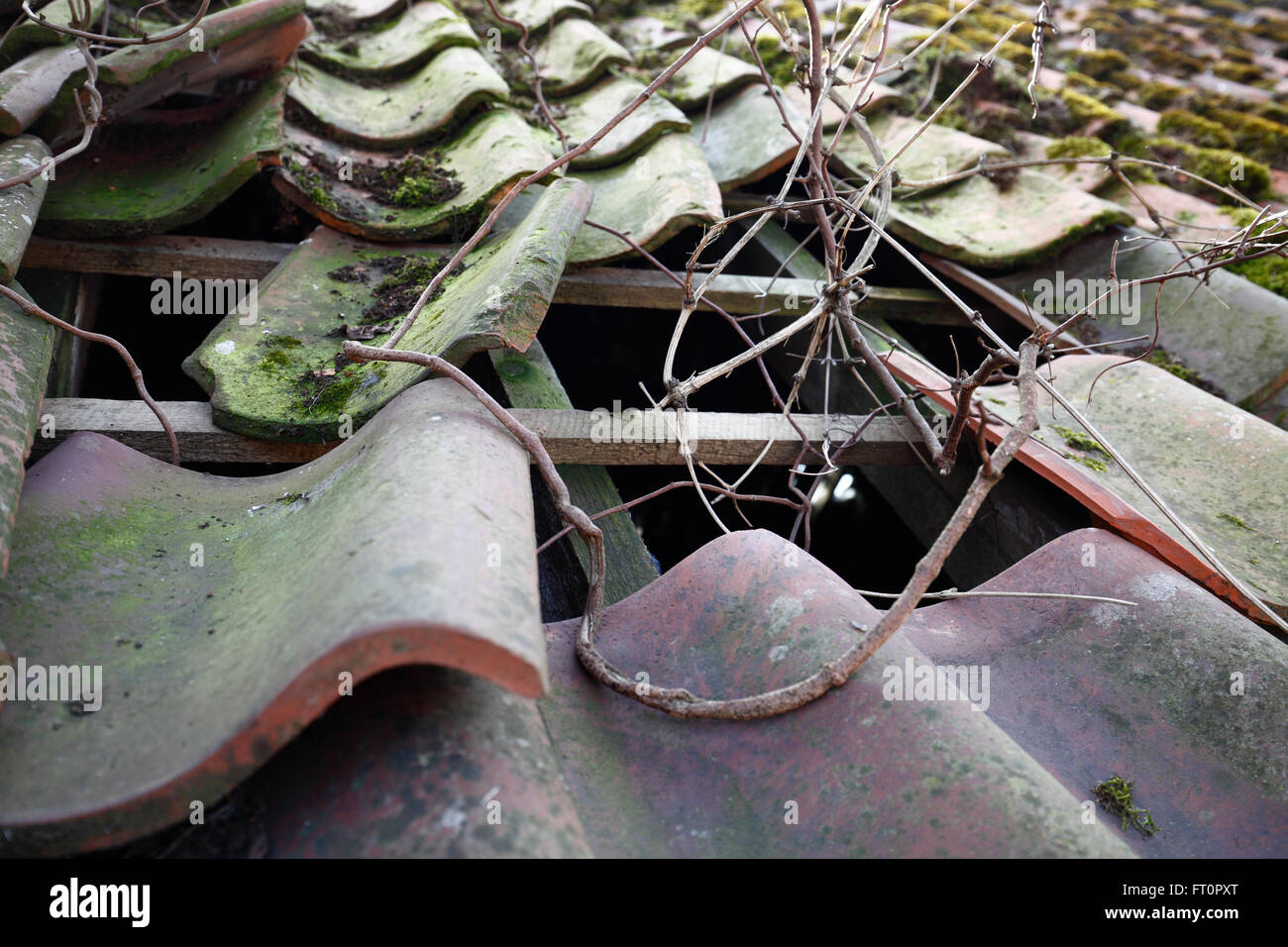 Alte Dachziegel in einem schlechten Zustand. Stockfoto