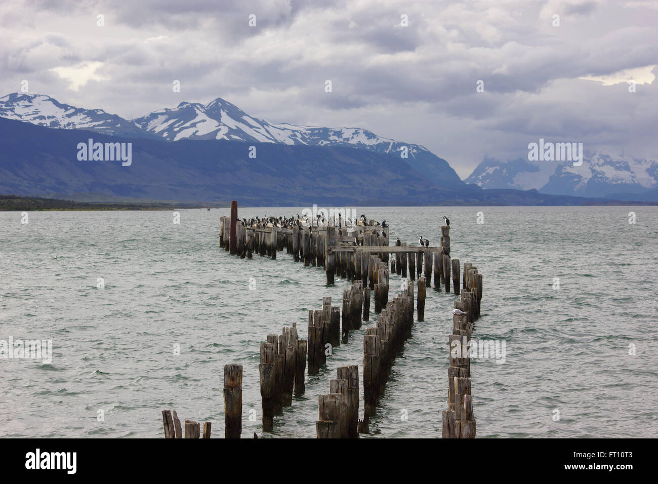 Puerto Natales, Fjord, ehemaligen Pier mit Kormoranen, Patagonien, Chile Stockfoto