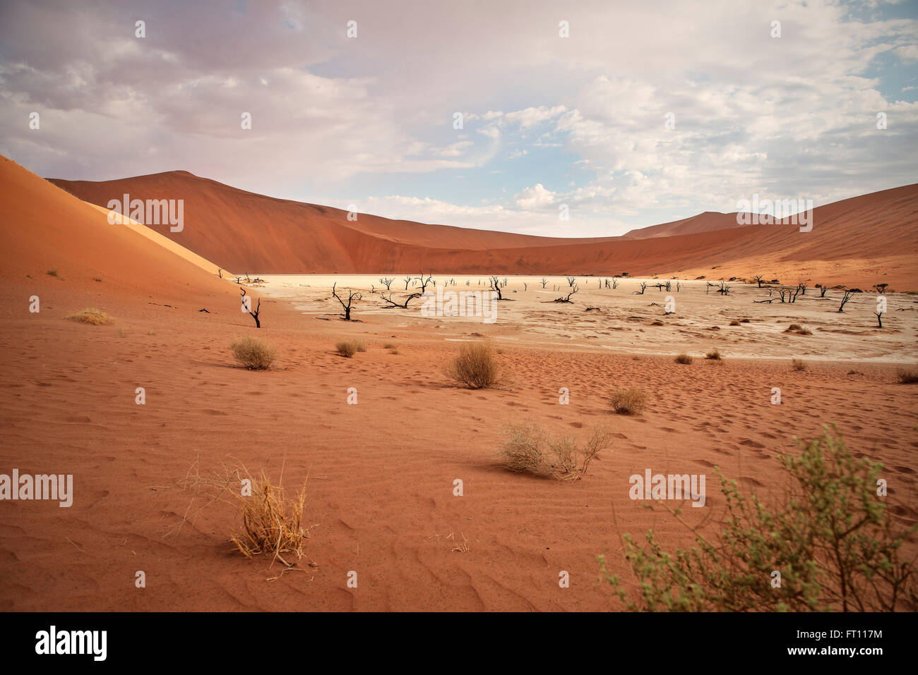 Tot Kameldornbäume mit roten Dünen im Dead Vlei, Sossusvlei, Namib-Wüste Namib-Naukluft-Nationalpark, Namibia, Afrika Stockfoto