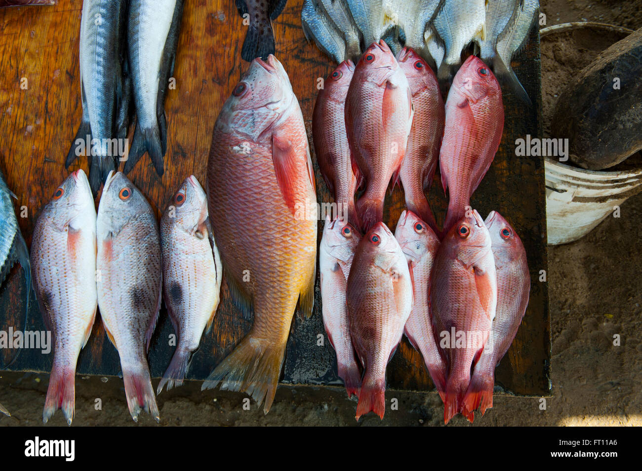 Fische zum Verkauf im Markt stehen am Playa Las Hamacas, Acapulco, Guerrero, Mexiko Stockfoto