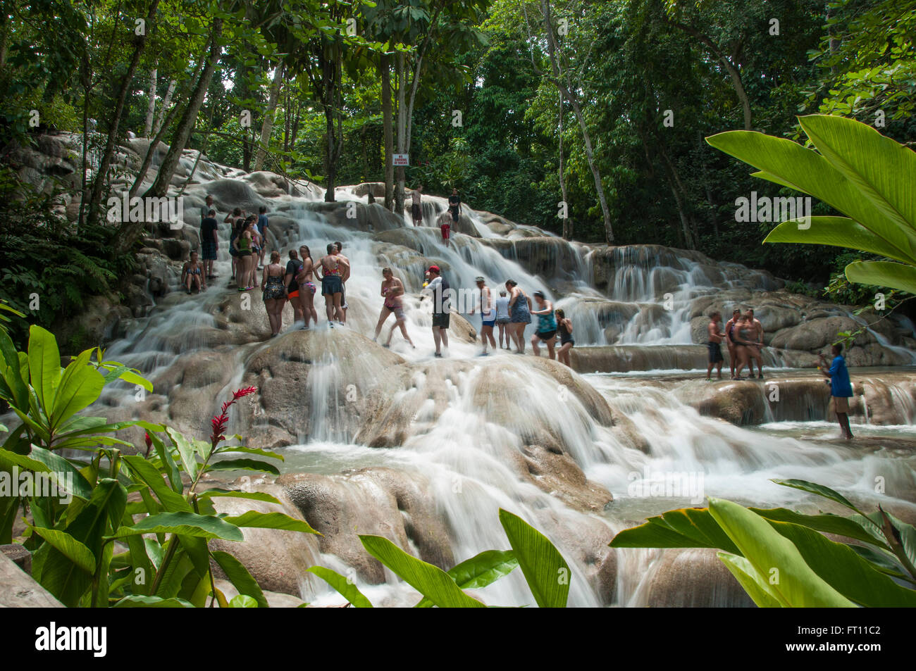 Besucher klettern Dunns River Falls, Ocho Rios, Saint Ann, Middlesex, Jamaika Stockfoto