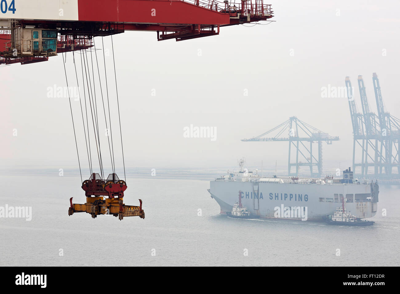 Container-Brücke, Hafen von Tianjin, Tianjin, China Stockfoto