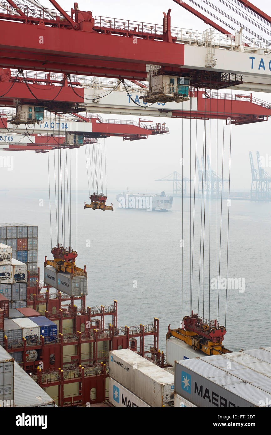 Container-Brücke, Hafen von Tianjin, Tianjin, China Stockfoto