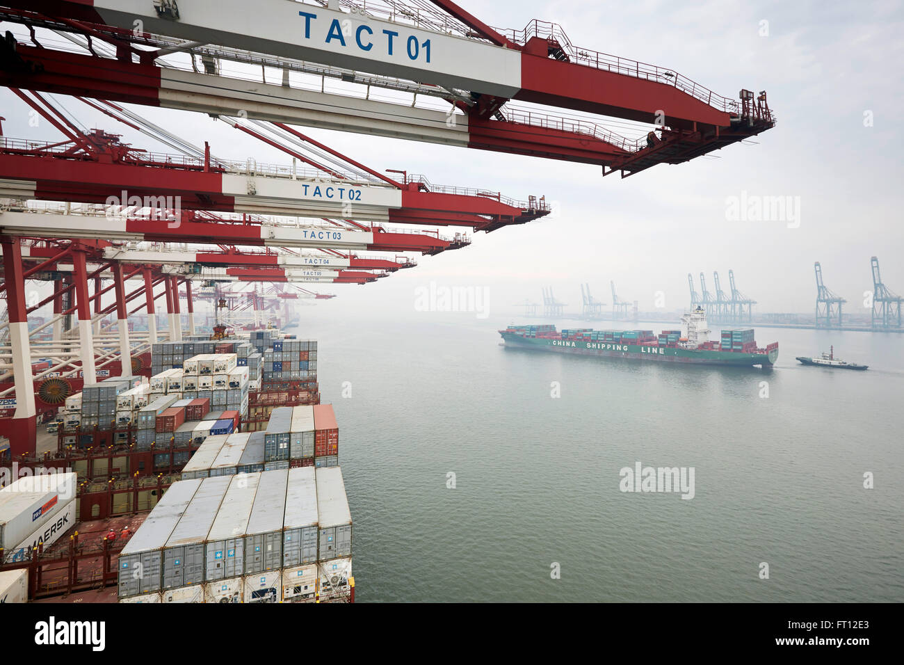 Container-Brücke, Hafen von Tianjin, Tianjin, China Stockfoto