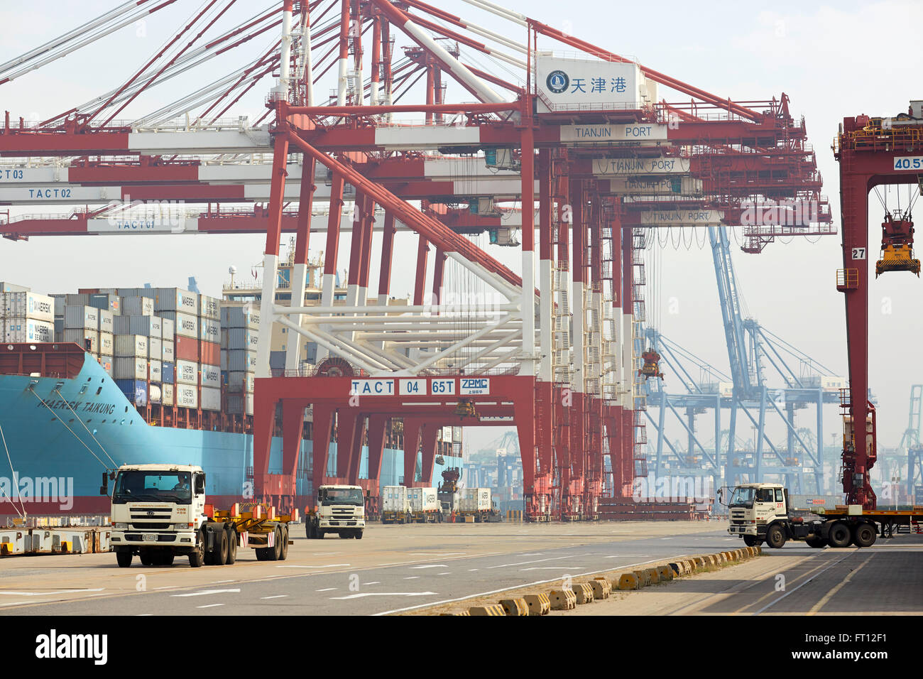 Containerschiff im Hafen, Hafen von Tianjin, Tianjin, China Stockfoto