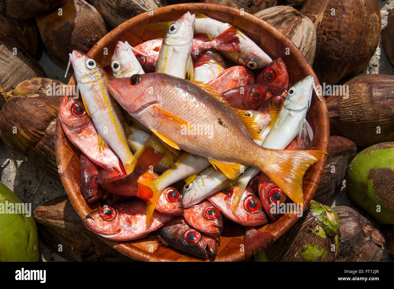 Bunte Fische zum Verkauf auf einem Markt, Makemo, Tuamotu-Inseln, Französisch-Polynesien, Südsee Stockfoto