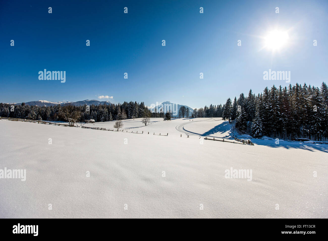 Winterlandschaft, Ramsau am Dachstein, Steiermark, Österreich Stockfoto