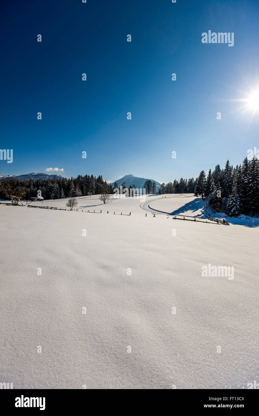 Winterlandschaft, Ramsau am Dachstein, Steiermark, Österreich Stockfoto