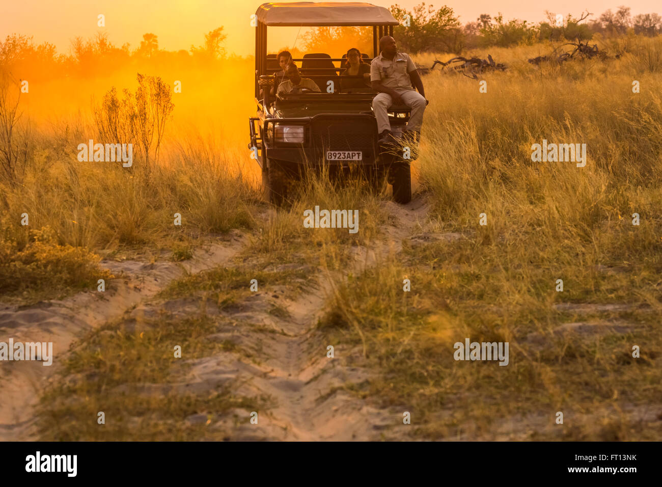 Safari-Jeep mit Wildlife Guide-Spotter auf ein Spiel fahren bei Sonnenuntergang, Sandibe Camp, durch das Moremi Game Reserve, Okavango Delta, Botswana, Südafrika Stockfoto