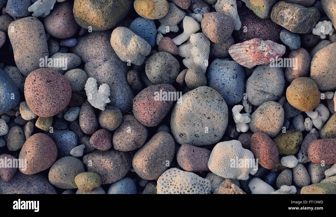 Steinen und Muscheln am Strand von Batanes, Batan Island, Batanes, Philippinen, Asien Stockfoto