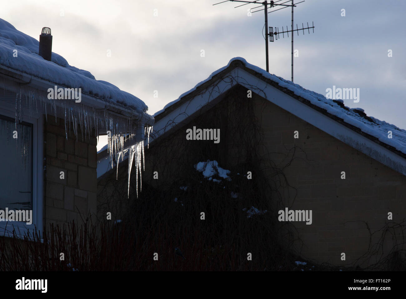 Große Icilces hängen von der Traufe von Häusern in einem sehr kalten harten Dezember. Stockfoto