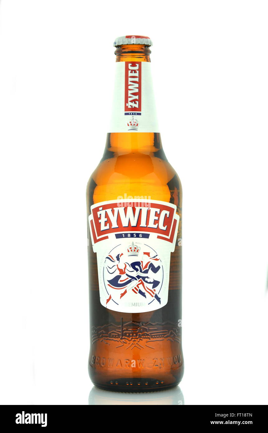 Zywiec Bier isoliert auf weißem Hintergrund Stockfoto