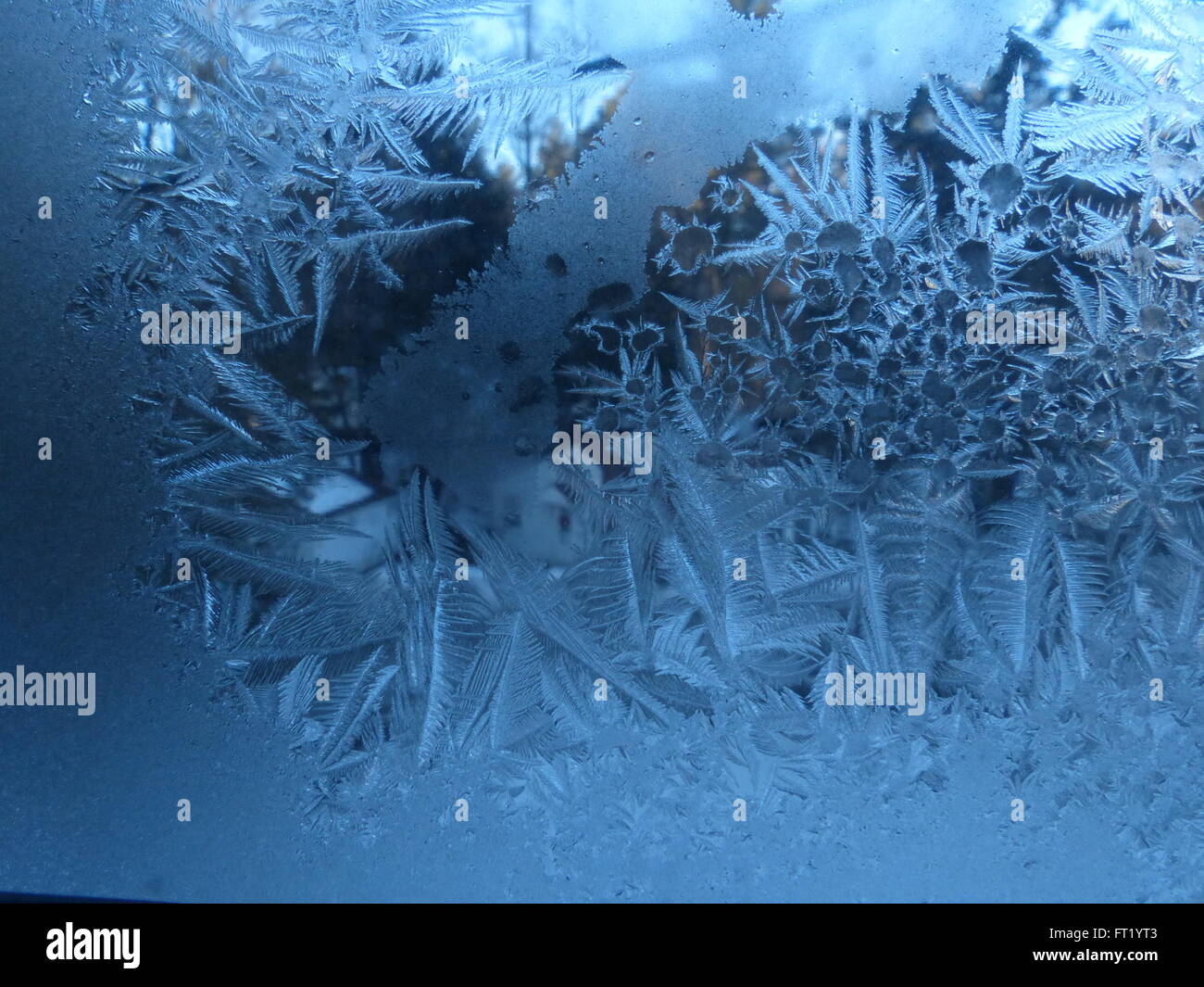 Frost am Fenster Stockfoto