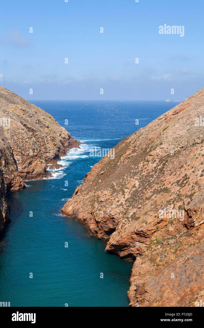 Insel der Berlengas (Portugal) in den Atlantischen Ozean. Stockfoto
