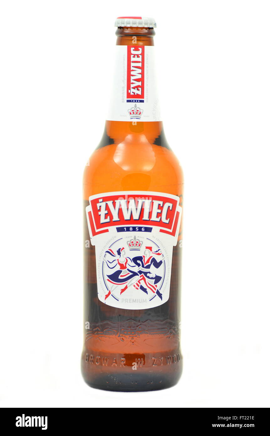Zywiec Bier isoliert auf weißem Hintergrund. Stockfoto