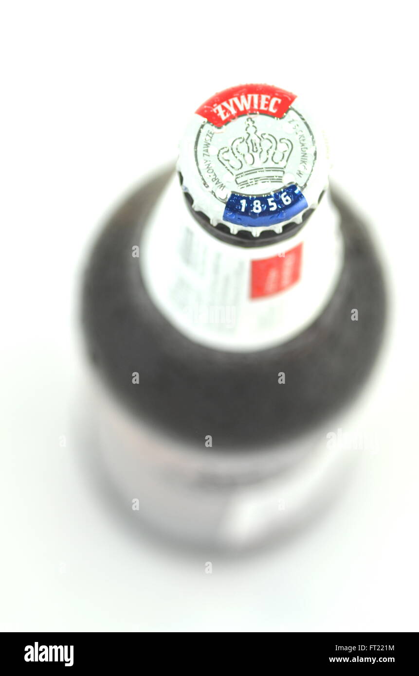 Zywiec Bier isoliert auf weißem Hintergrund. Stockfoto