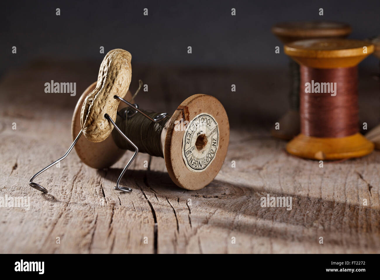 Erdnuss Mann schob eine großen Garn Faden roll Stockfoto