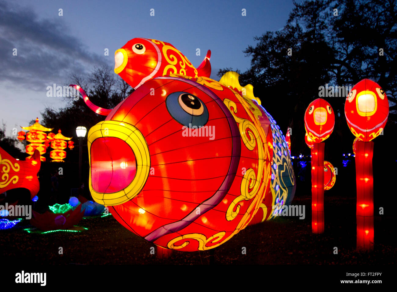 Riesige Seide Koi glühend in die China-Leuchten-Ausstellung im New Orleans City Park, 2016. Stockfoto