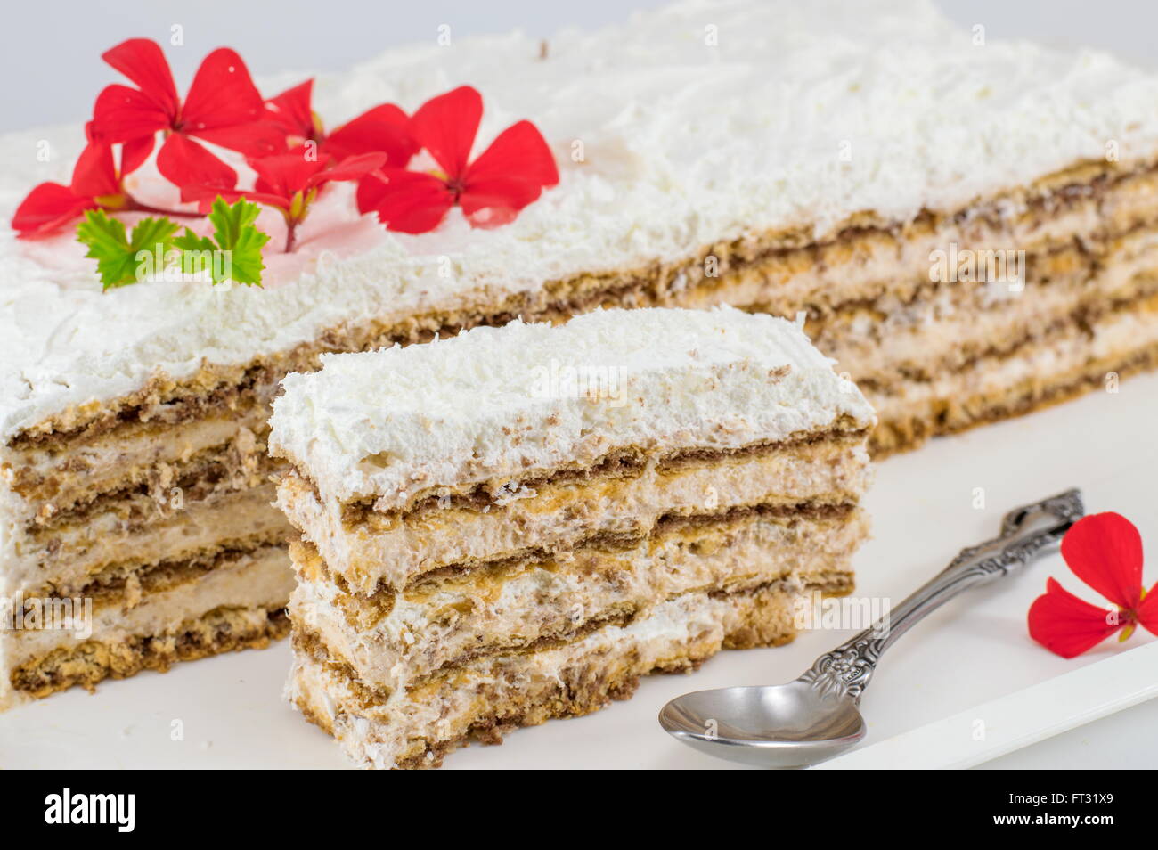 Hausgemachte süße Kuchen auf einem Tablett Stockfoto