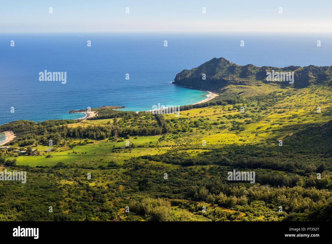 Luftaufnahmen von grüner Vegetation und Wasser in Kauai Stockfoto