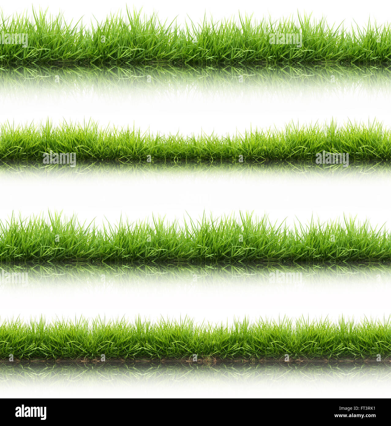 frisches Frühlingsgrün grass isolierten auf weißen Hintergrund mit Wasserreflexion Stockfoto