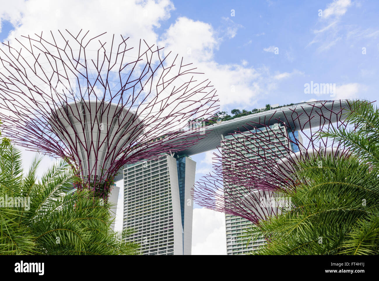Die Supertree Grove Gardens an der Bucht mit dem Marina Bay Sands in Singapur Hintergrund Stockfoto